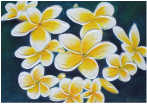 A picture of frangipani flowers painted by Tracey-Ann Palmer